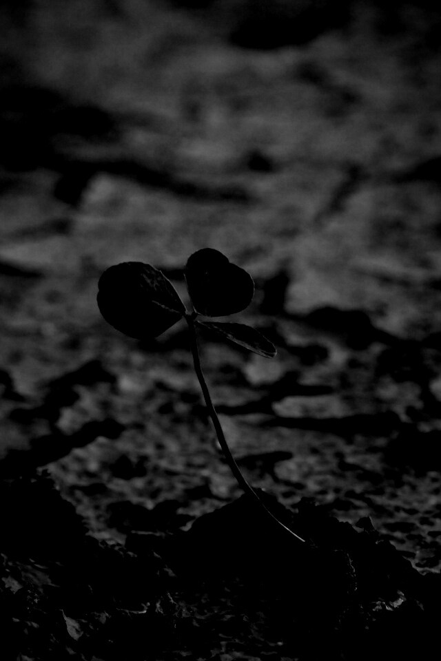 Сила природы обои