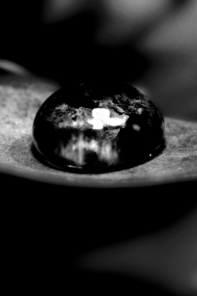 Целый мир в капле воды обои