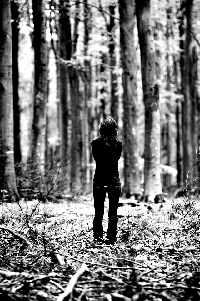 Одна в лесу обои