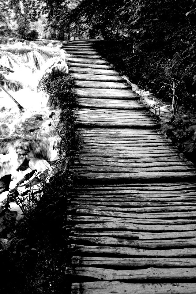 Деревянная дорожка над ручьем обои