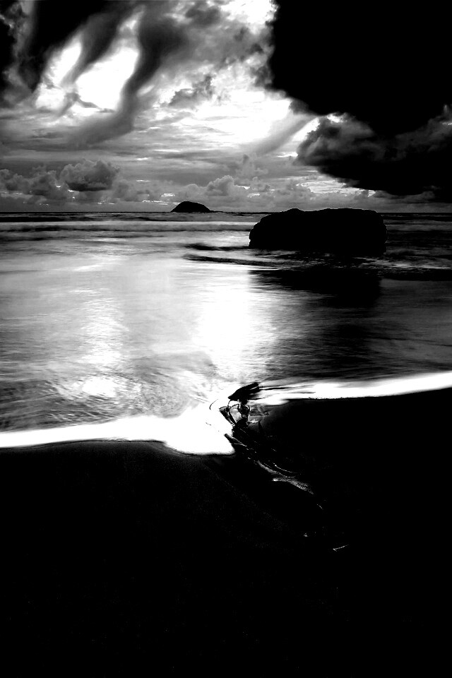 Коряга на пляже обои