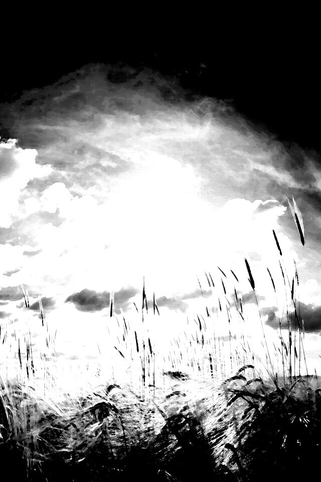 Сюрреалистичная трава обои