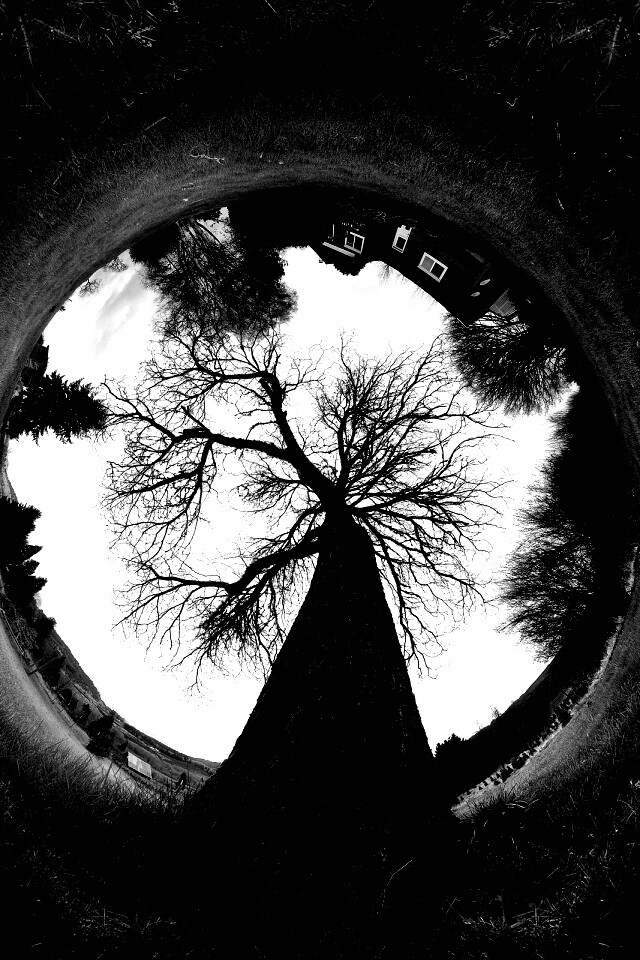 Другой взгляд на мир обои