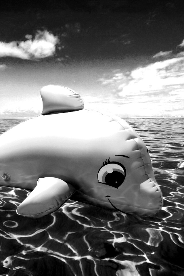 Надувной розовый дельфин обои