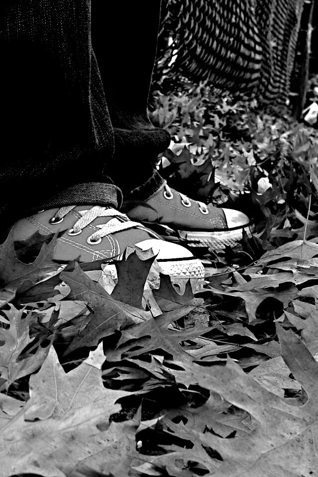 Оранжевые кеды обои