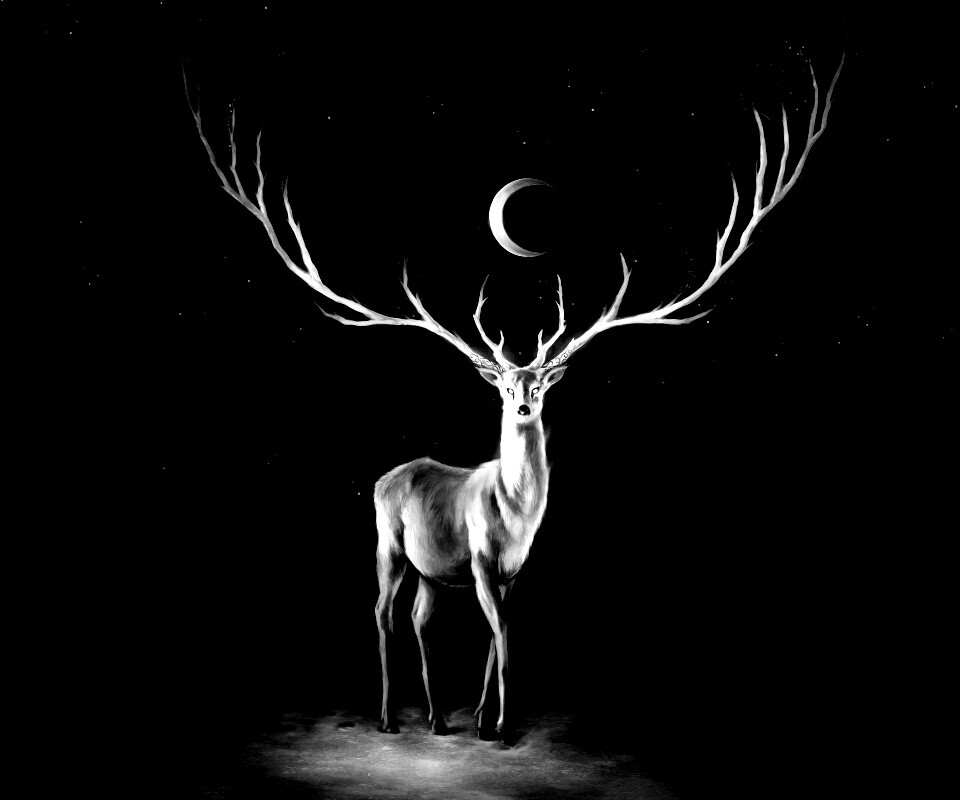 Олень в лунном свете обои