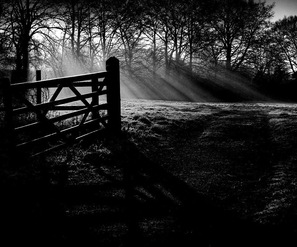 Открытые ворота обои