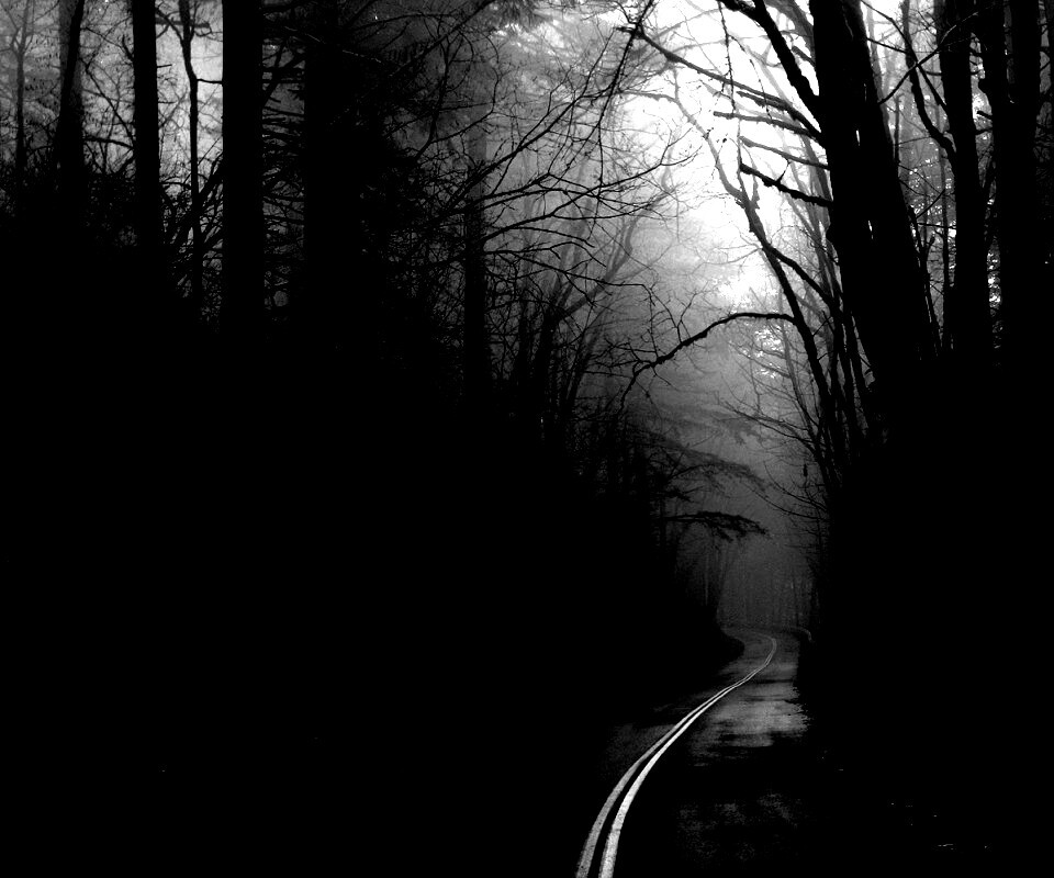 В туман обои