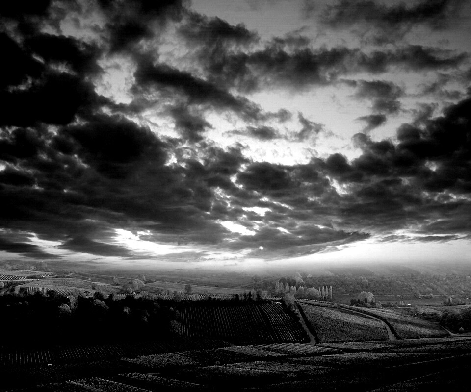 Обработанные земли в пригороде обои