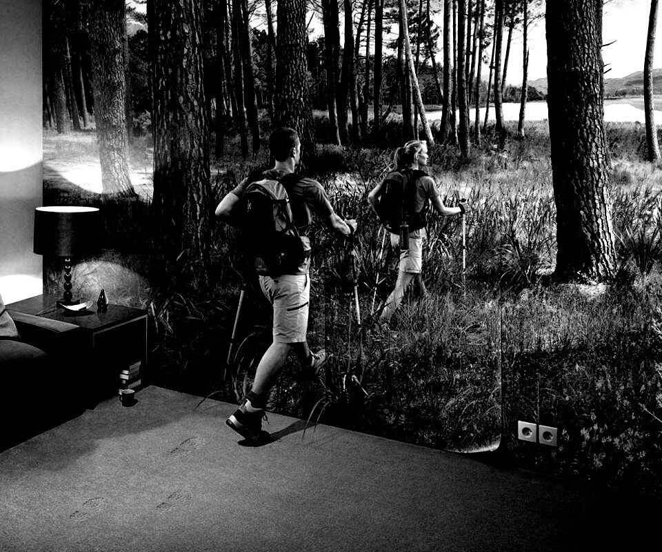 Реклама фотообоев обои