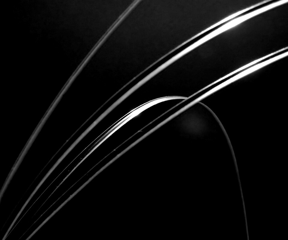 Четыре травинки обои