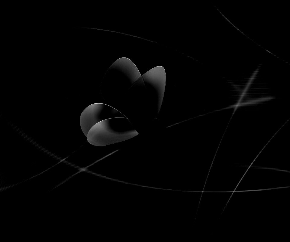 Бабочка с радужными крыльями обои