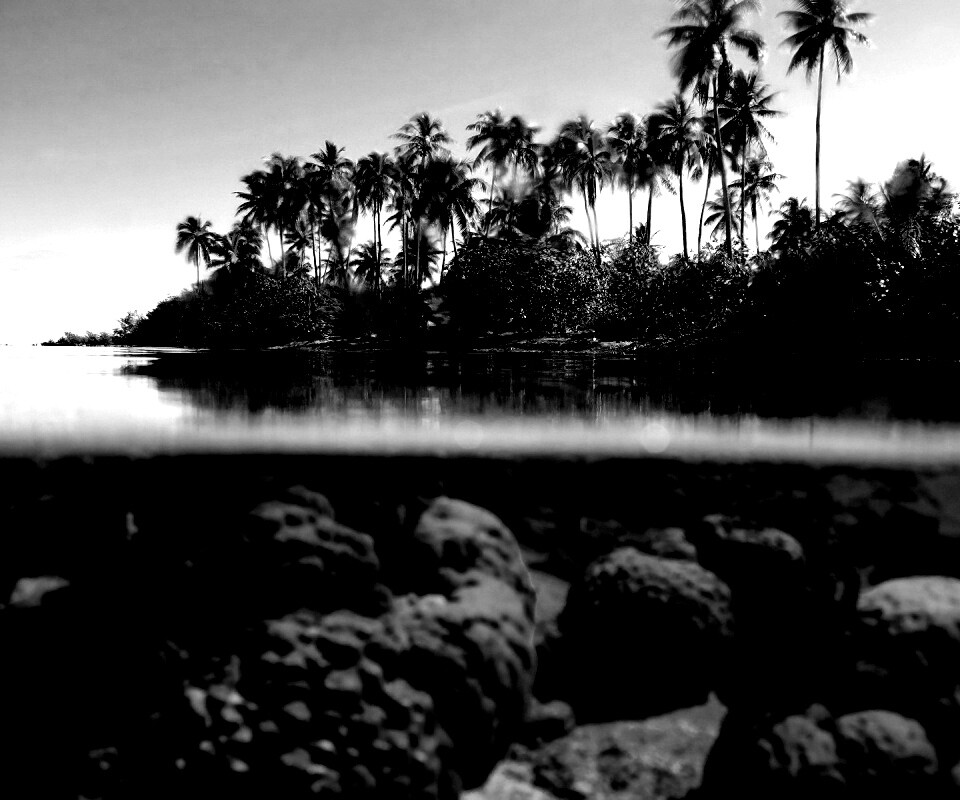 Из-под воды обои