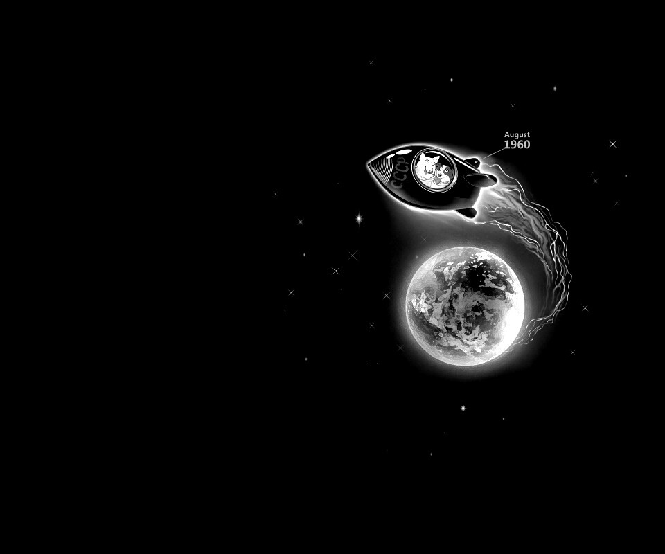 Белка и Стрелка летят в космос обои