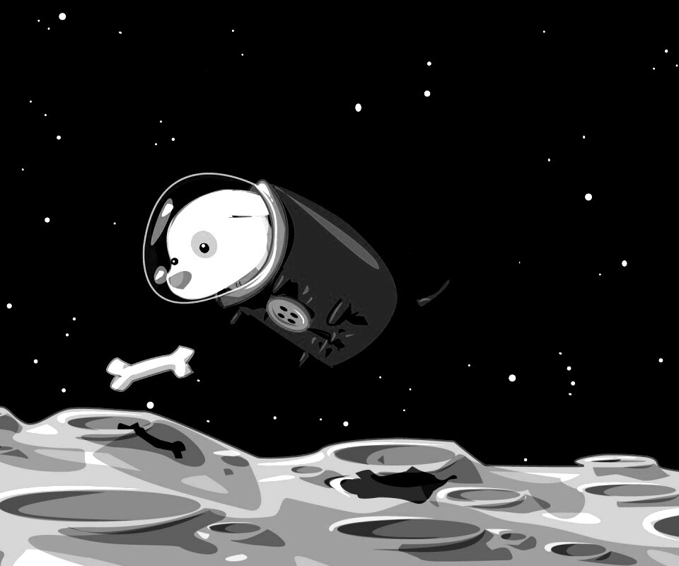 Собачка на луне обои