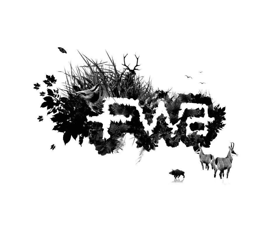 FWA обои