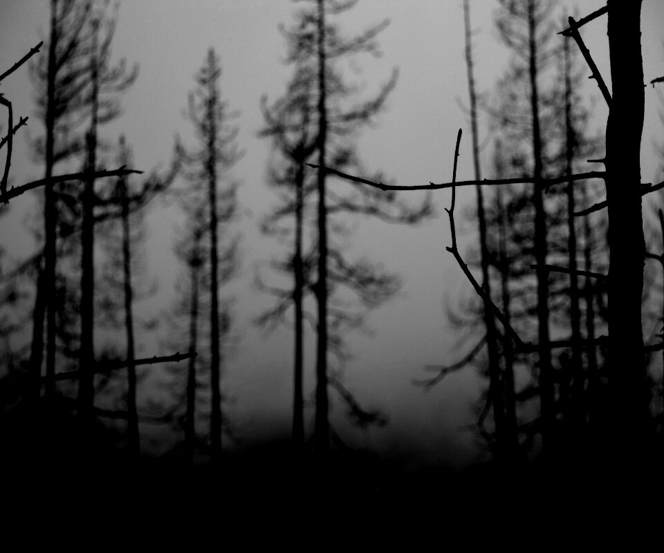 Безысходность обои