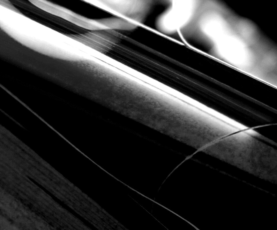 Желто-зеленые травинки обои