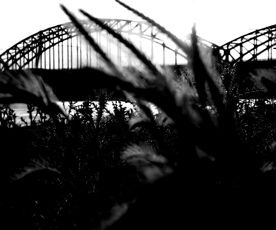 Железнодорожный мост обои