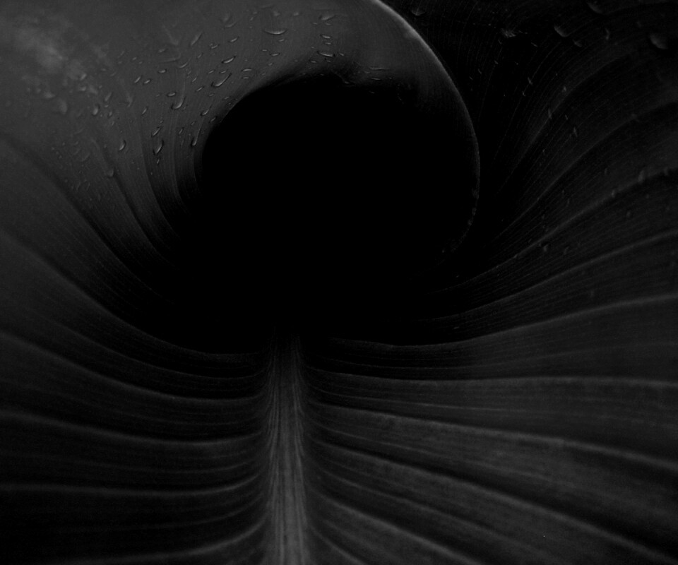 Свернутый в трубочку лист обои