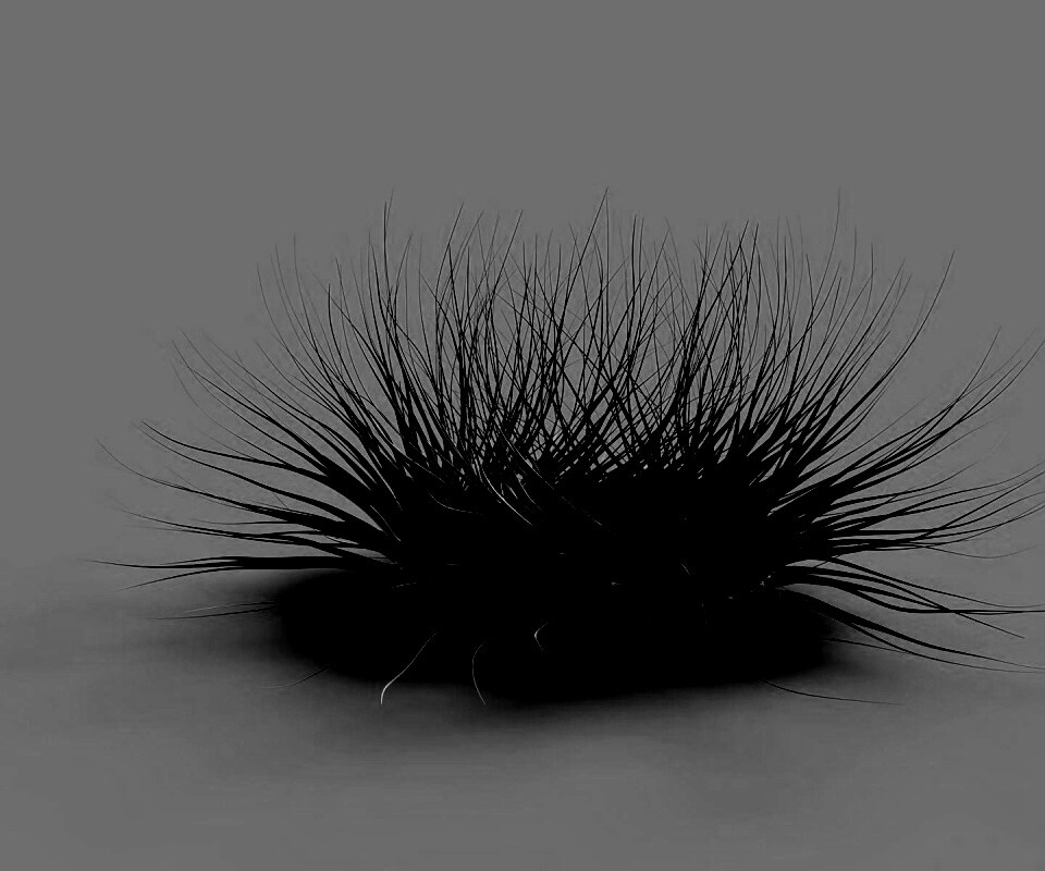 Волосатая мочалка обои