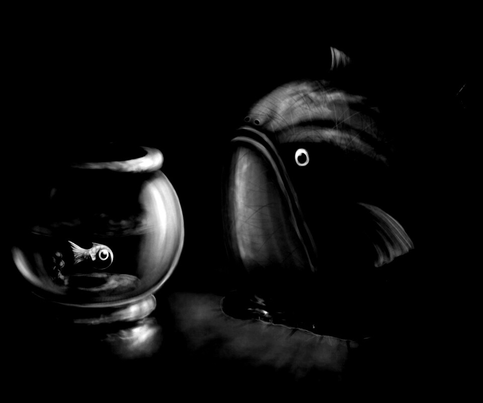 Большая и маленькая рыбки обои