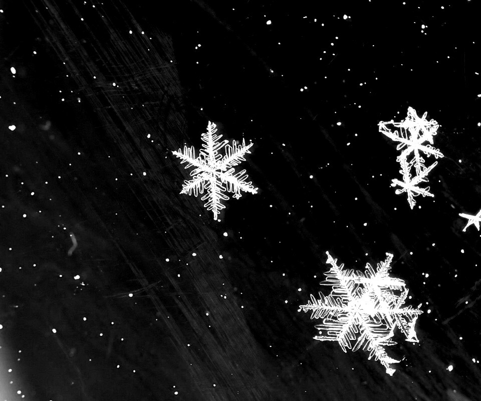 Снежинки обои