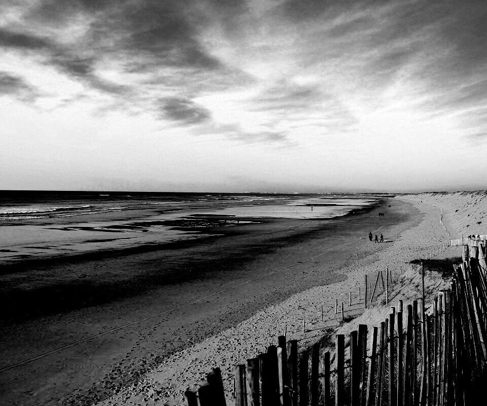 Обмелевший берег обои