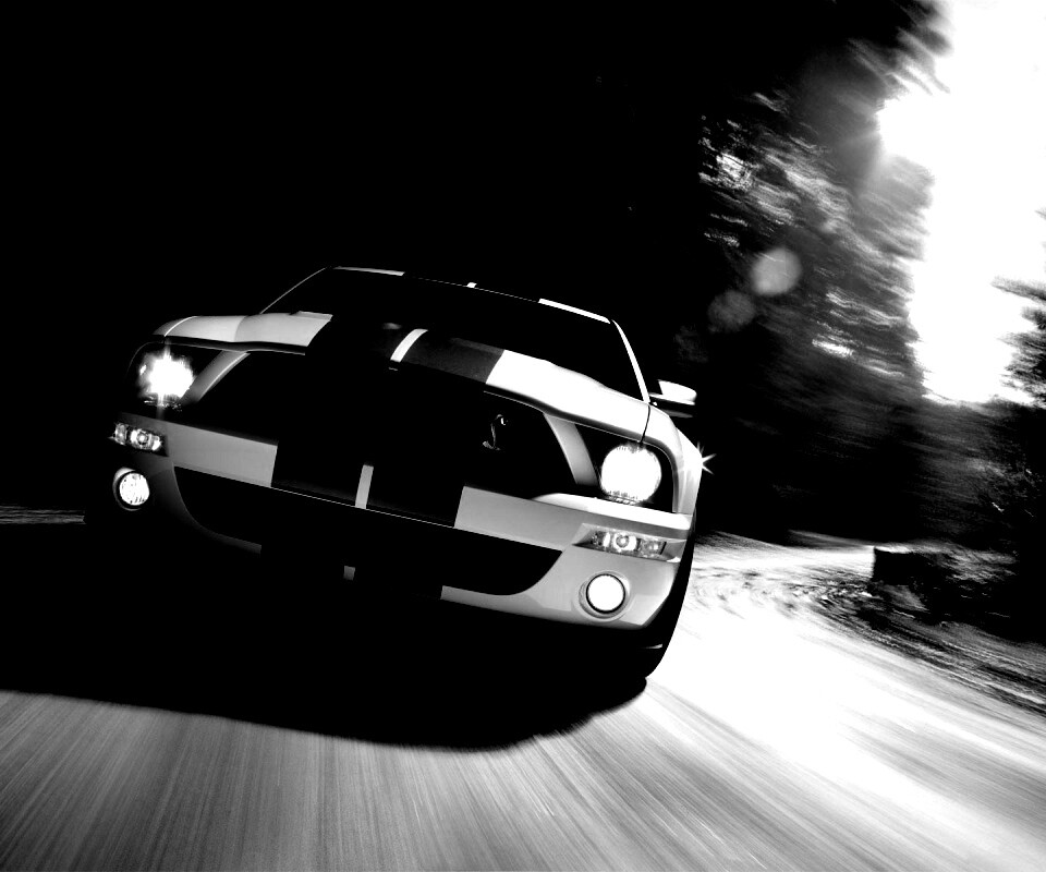 Форд Шелби с синими полосками обои