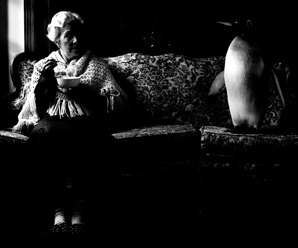 Соседи по дивану обои