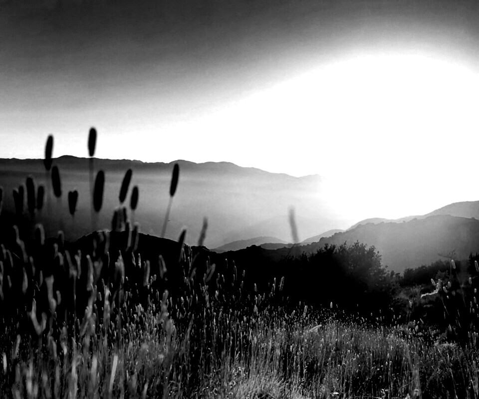 Восход над холмами обои