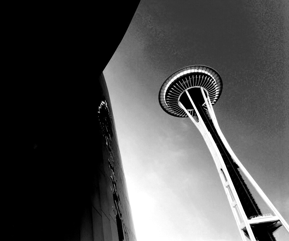 Space Needle Tower обои