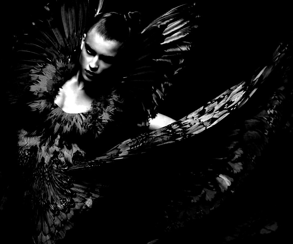 Костюм жар птицы обои