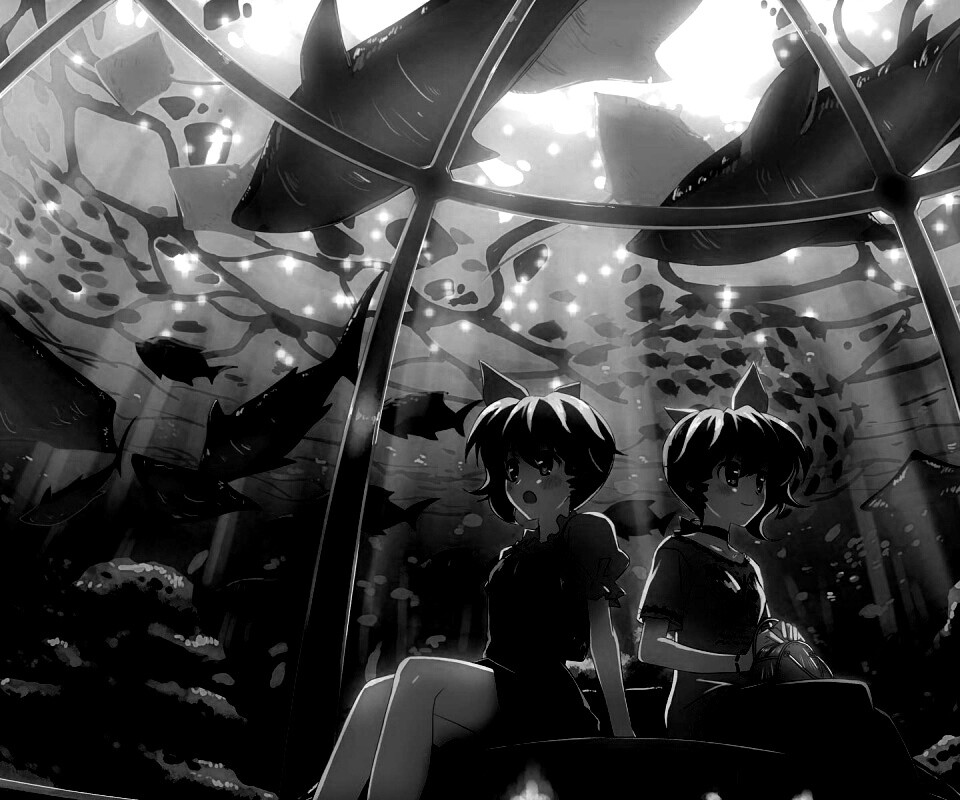 В океанариуме обои