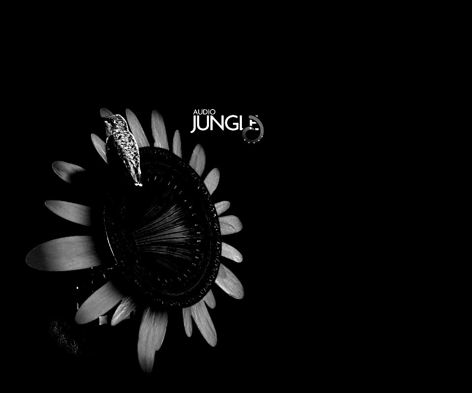 Звуки джунглей обои