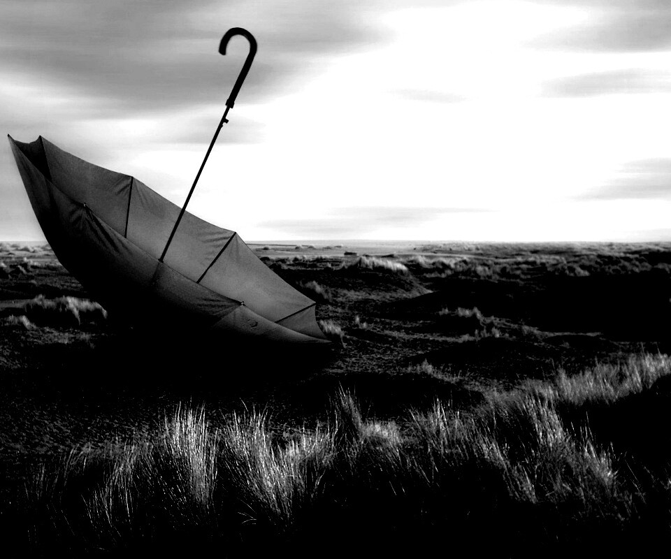 Брошенный зонт обои