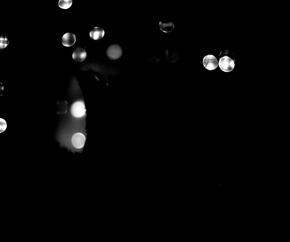 Силуэт черного кота обои