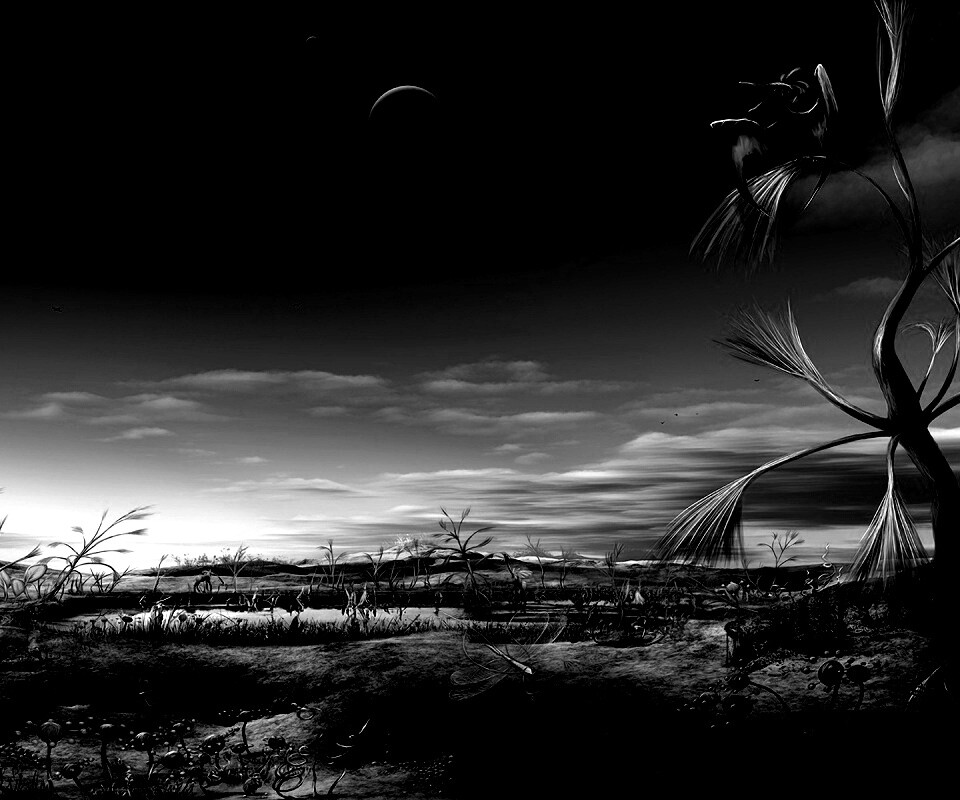 Флора и фауна другой планеты обои