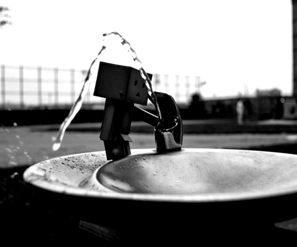 Дандо пьет в воду из фонтанчика обои