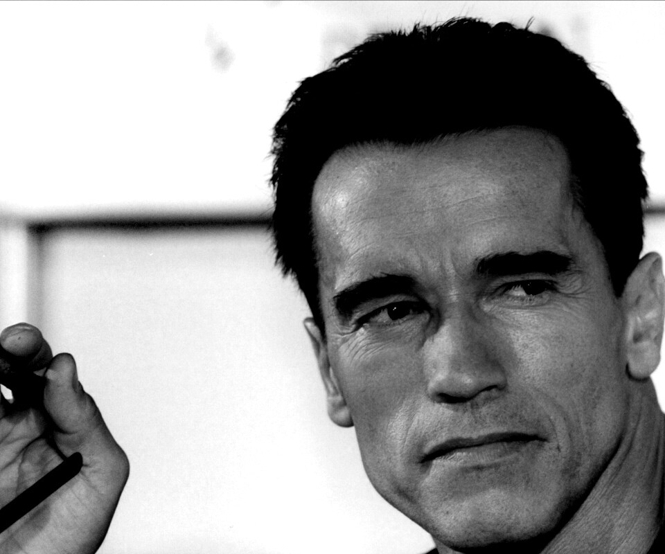 Арнольд Шварцнеггер с сигарой обои