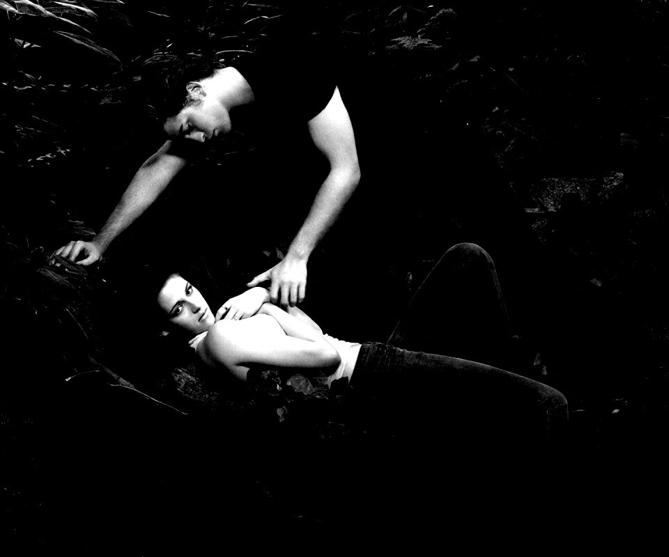 Эдвард и Белла в лесу обои