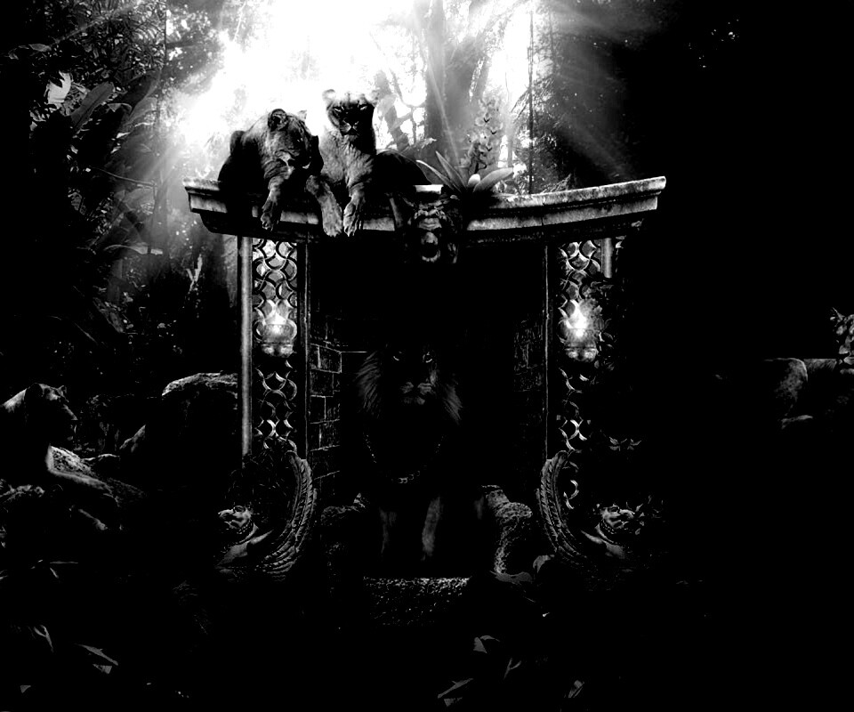 Царь зверей обои