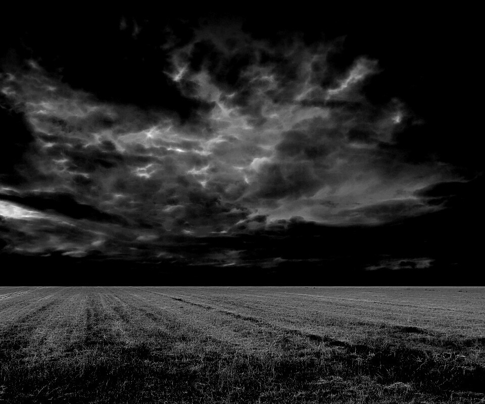 Тучи над желтым полем обои