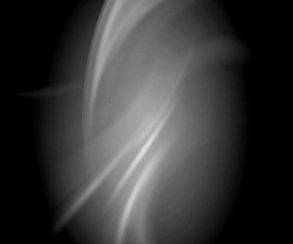 Бледно белые завитки обои