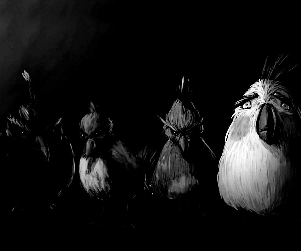 Злые птицы обои