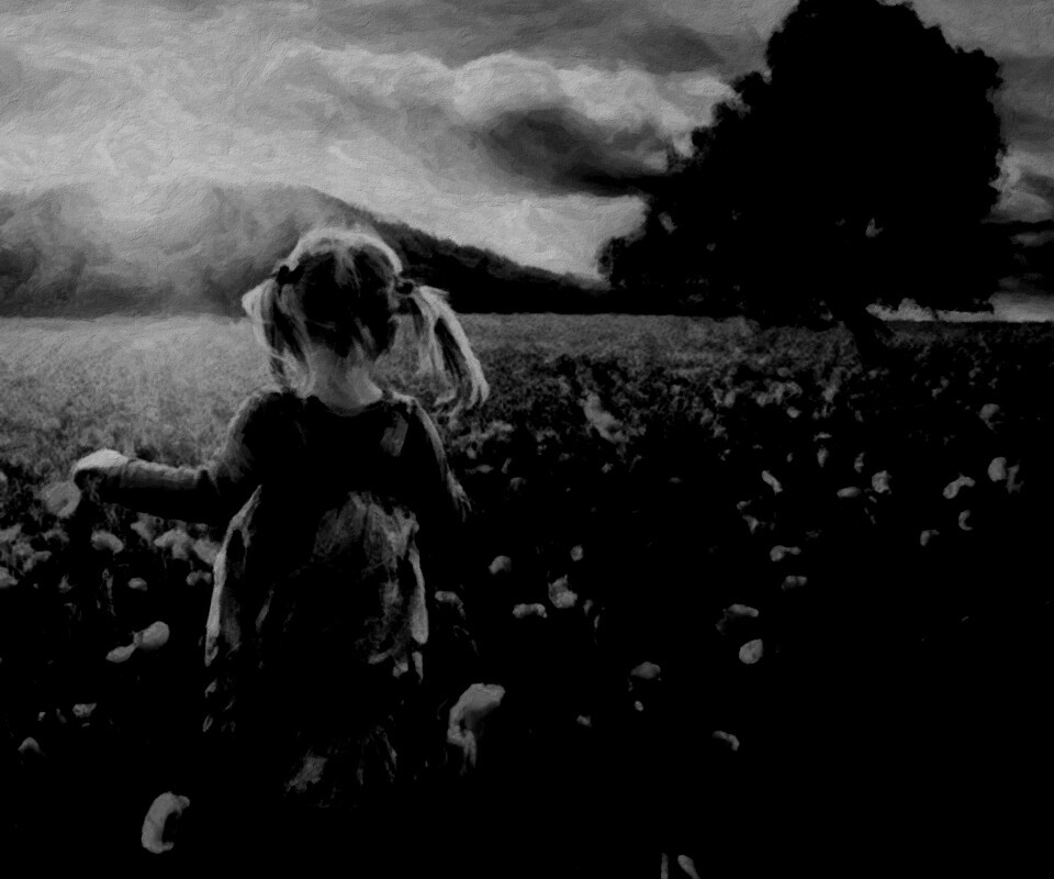 Девочка на маковом поле обои