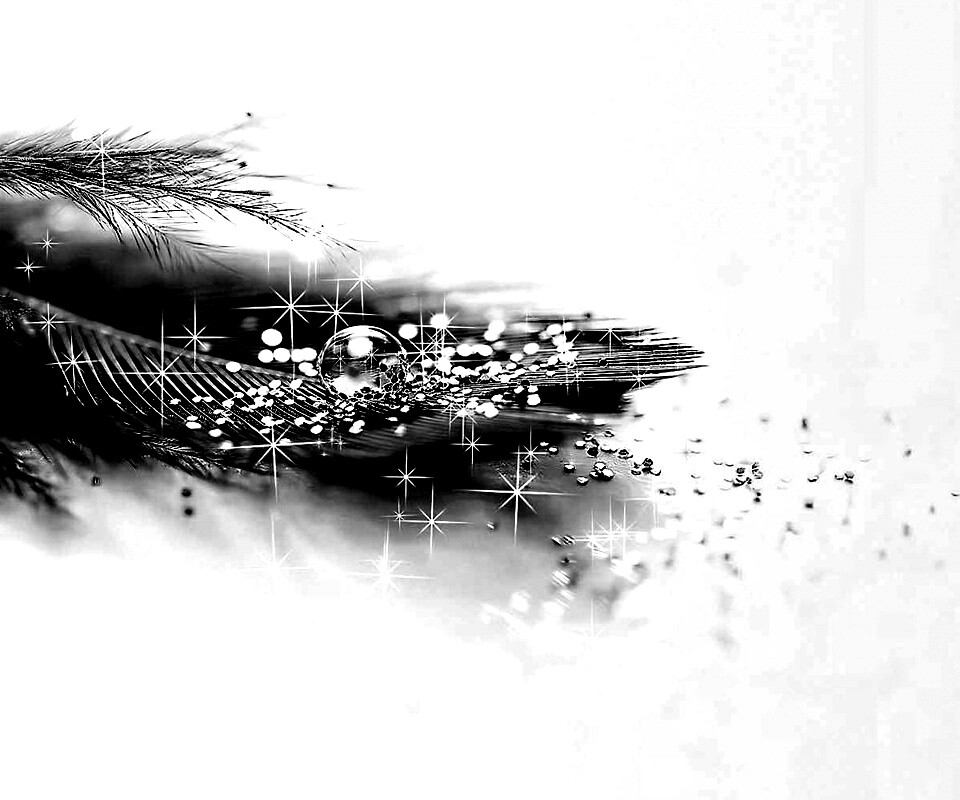 Волшебное перо обои