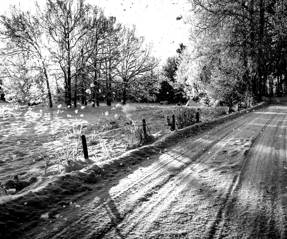 Снежная дорога залитая солнцем обои