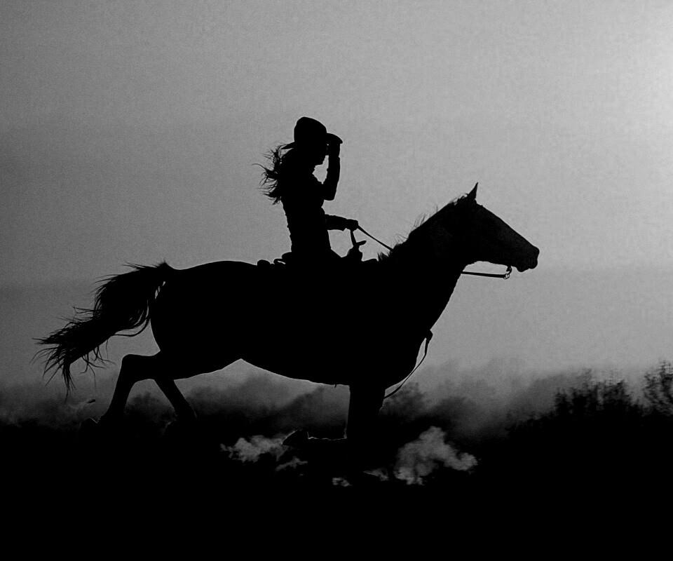 Наездница на закате обои