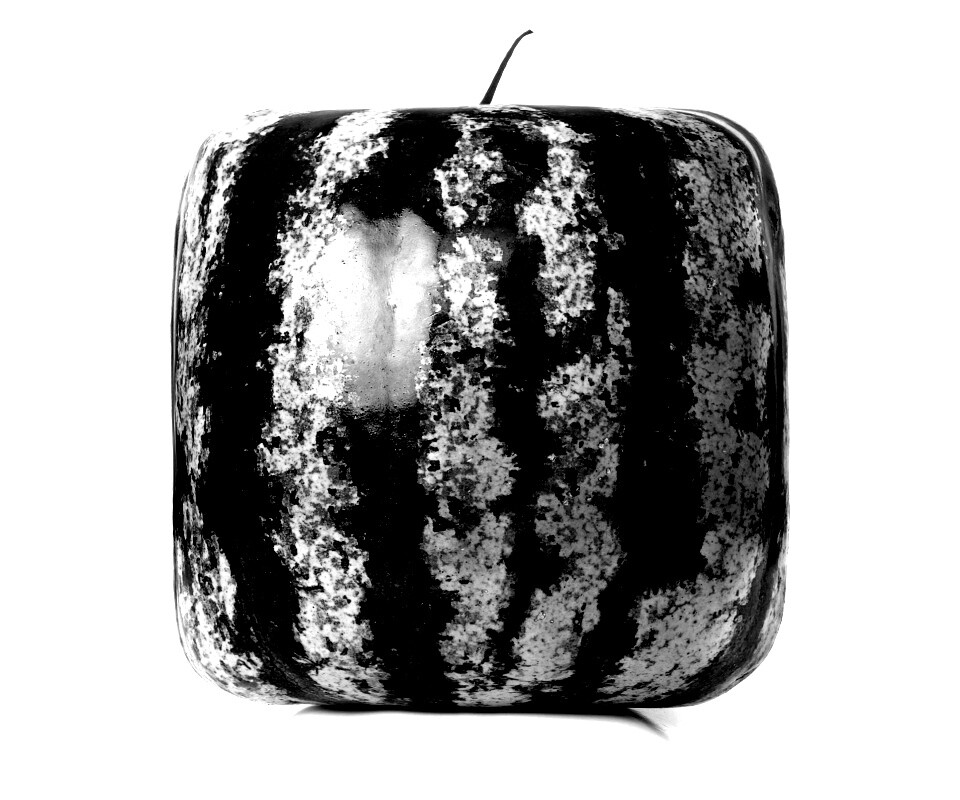 Квадратный арбуз обои